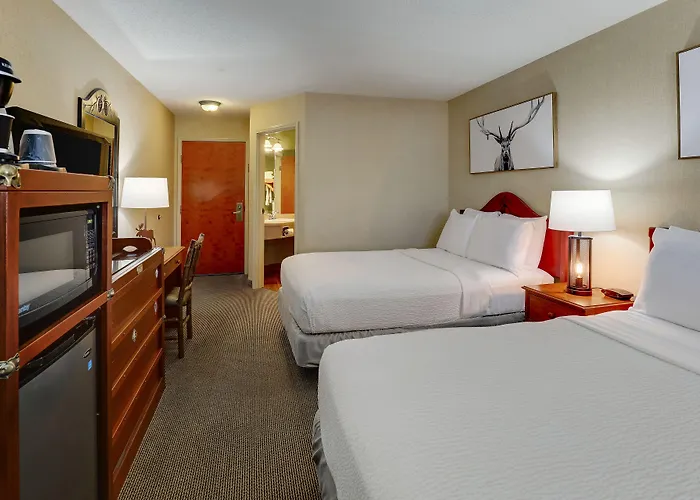 Hotel Stoney Creek Lnn 3*