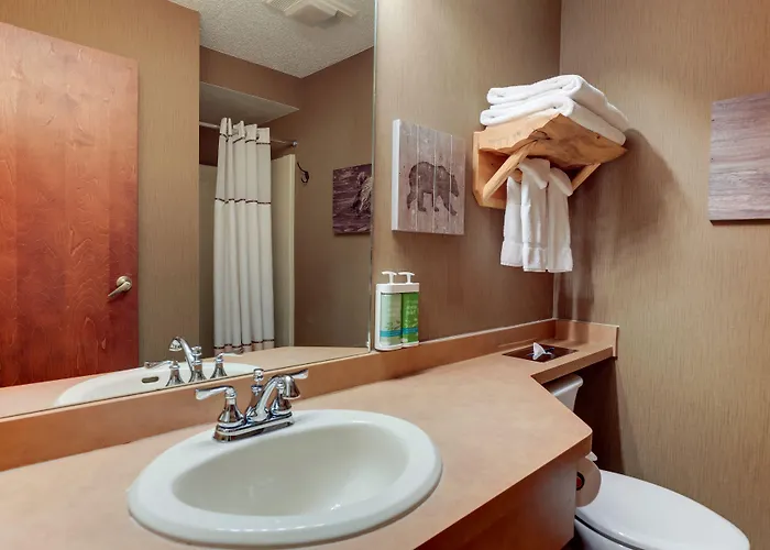 Stoney Creek Lnn Hotel Galena