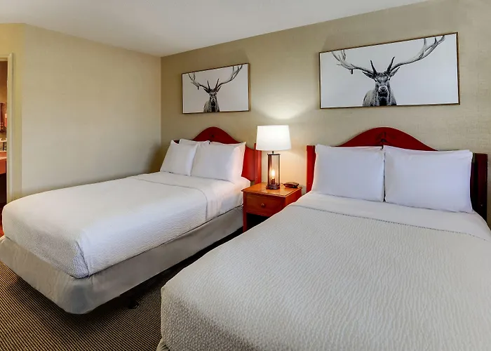 Hotel Stoney Creek Lnn 3*